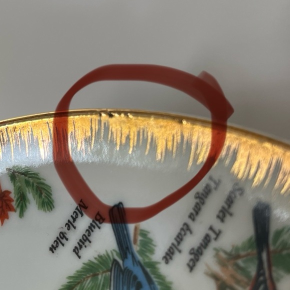 VINTAGE GC Japan Songbirds of Canada Souvenir Collectible Hand Painted Painted - Picture 17 of 17